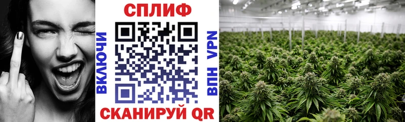 Что такое Шарья Псилоцибиновые грибы  Cocaine  СОЛЬ  Меф  Метамфетамин  ГАШ 