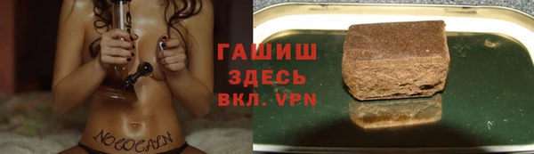 мяу мяу мука Абаза