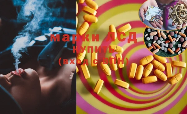мяу мяу мука Абаза