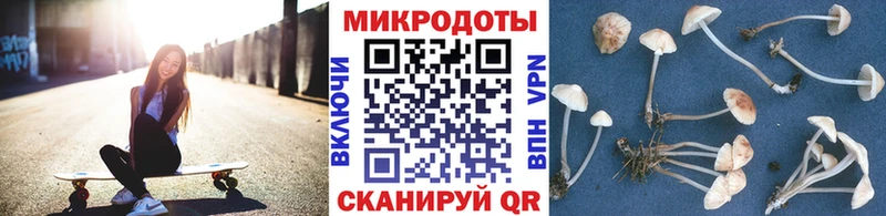 Псилоцибиновые грибы мухоморы  Шарья 